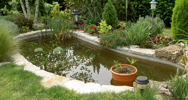 bassin jardin